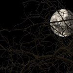 A composite piece of photographic art Moon behind tree branches